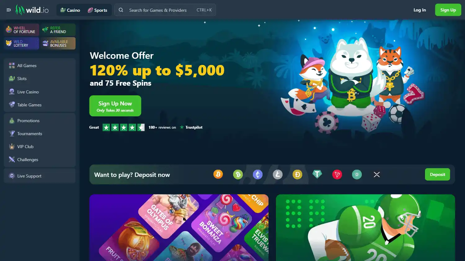 Wild.io Casino screenshot 1