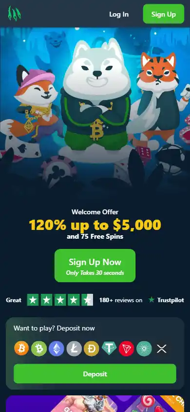 Wild.io Casino screenshot 4