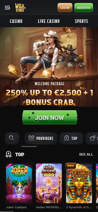 Wildsino Casino screenshot 4