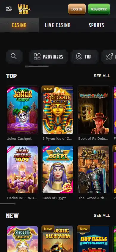 Wildsino Casino screenshot 5