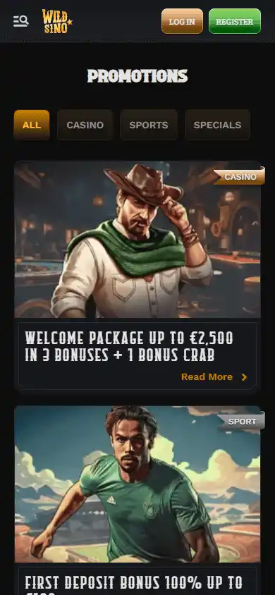 Wildsino Casino screenshot 6