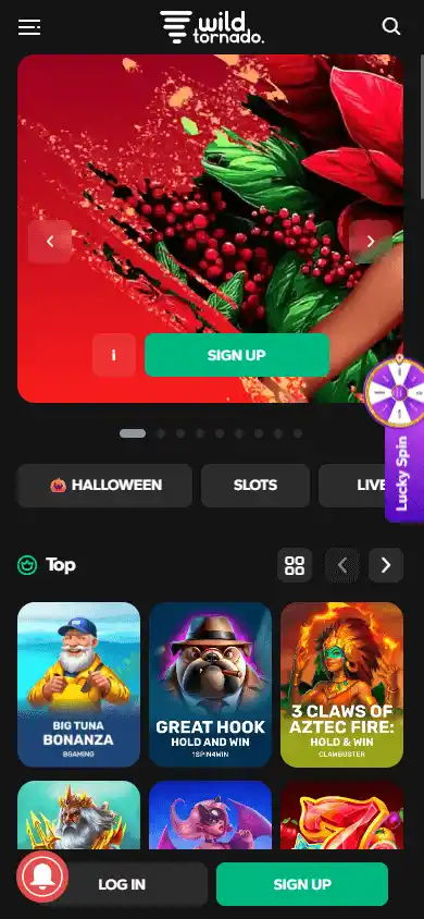 WildTornado Casino screenshot 4