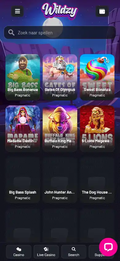 Wildzy.io Casino screenshot 5