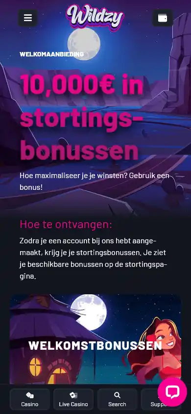 Wildzy.io Casino screenshot 6