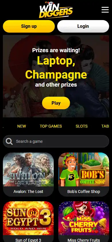 Win Diggers Casino screenshot 4