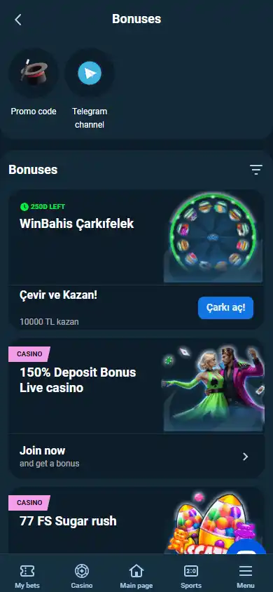 Winbahis Casino screenshot 6
