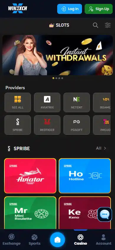 WinExch24 Casino screenshot 4