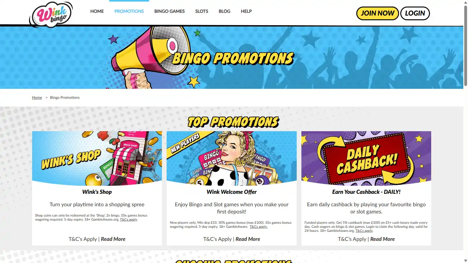 Wink Bingo Casino screenshot 3
