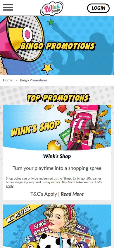 Wink Bingo Casino screenshot 6