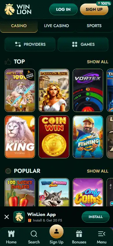 WinLion Casino screenshot 5