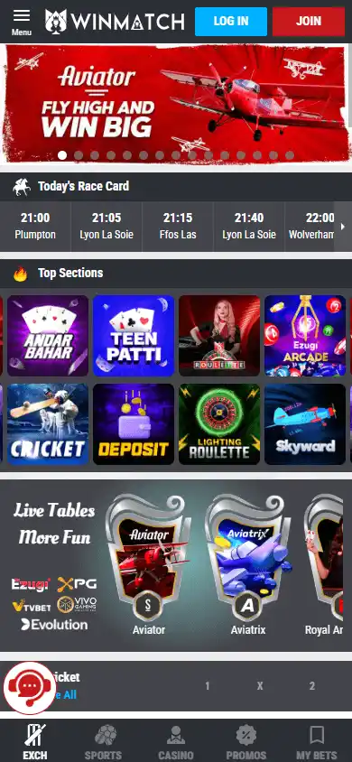 WinMatch Casino screenshot 4