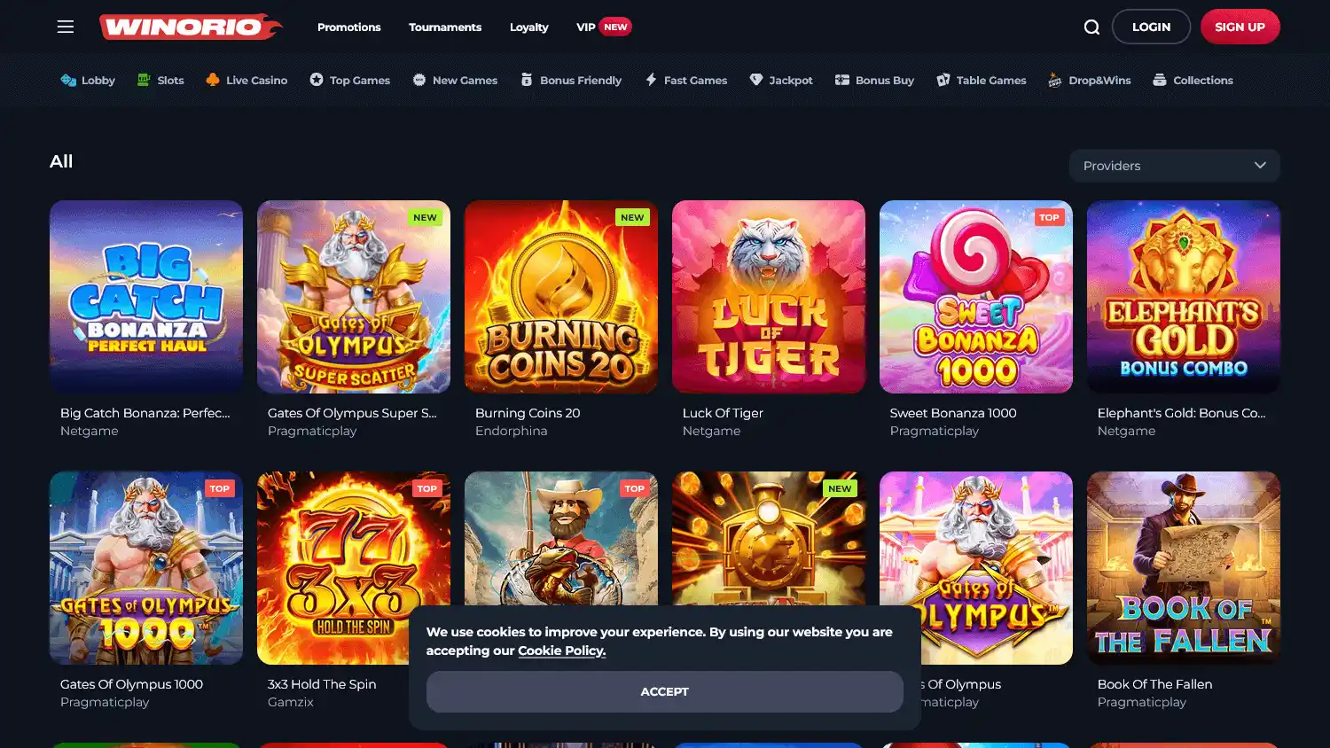 Winorio Casino screenshot 2