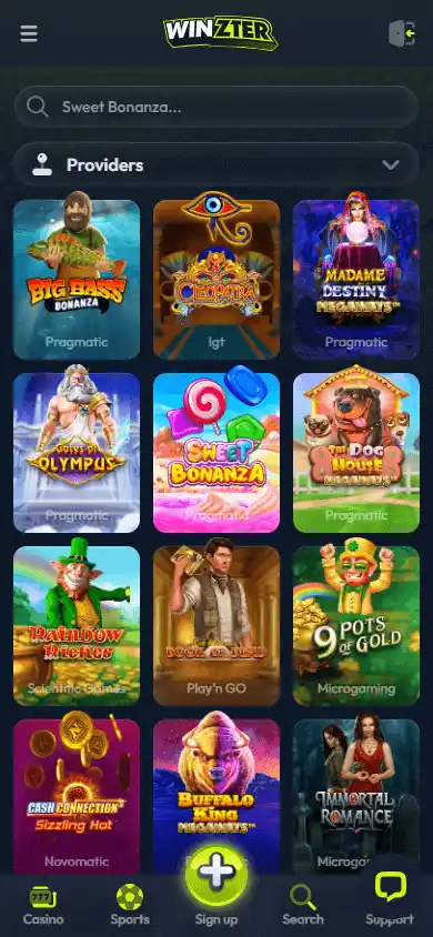 Winzter Casino screenshot 5
