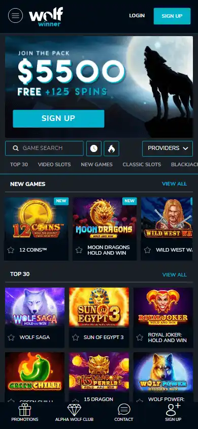 Wolf Winner Casino screenshot 3