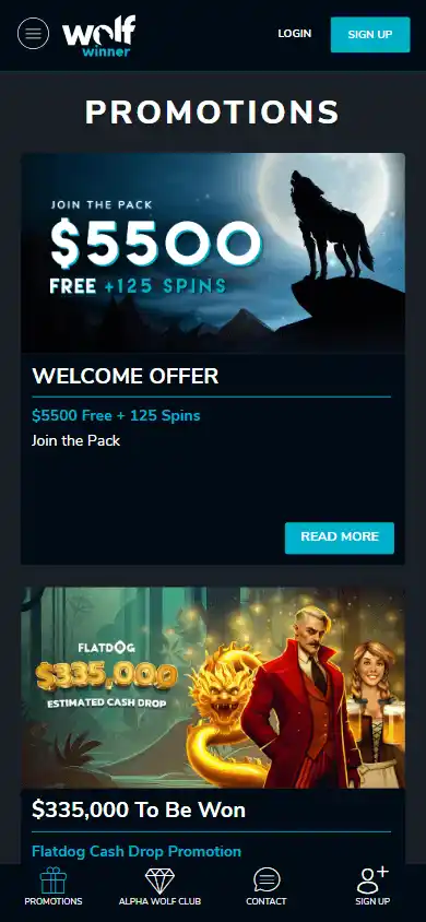 Wolf Winner Casino screenshot 4