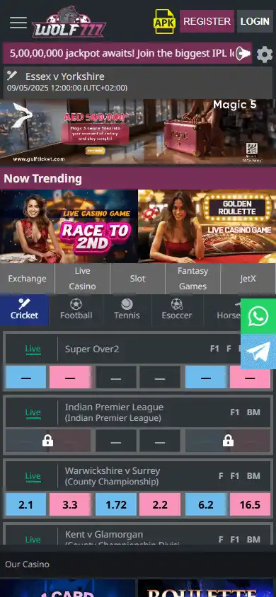 Wolf777 Casino screenshot 3