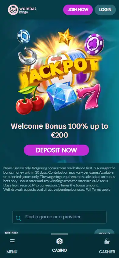 WombatBingo Casino screenshot 4