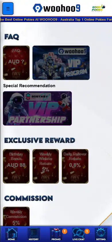 Woohoo9 Casino screenshot 4