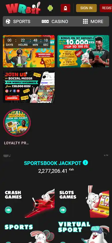 WRBET Casino screenshot 3