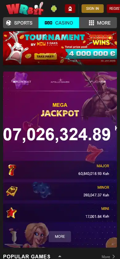 WRBET Casino screenshot 4