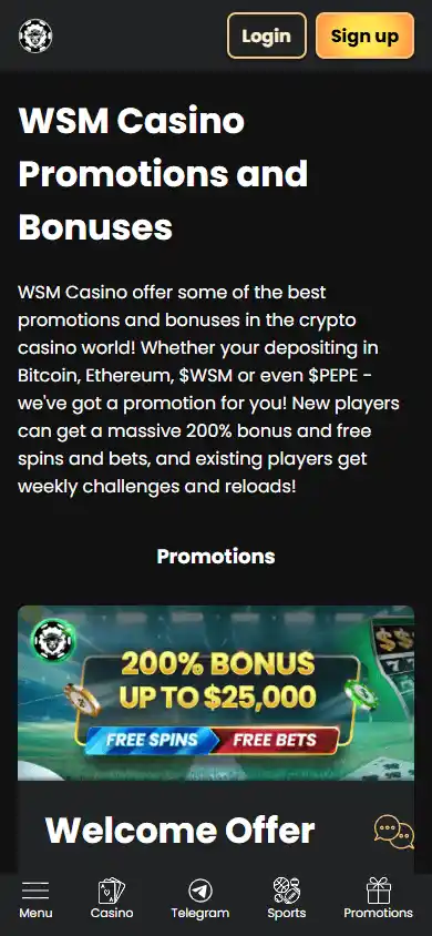WSMCasino screenshot 6