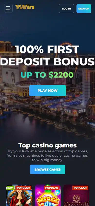 Y Win Casino screenshot 4
