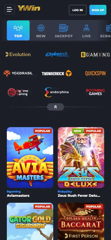 Y Win Casino screenshot 5